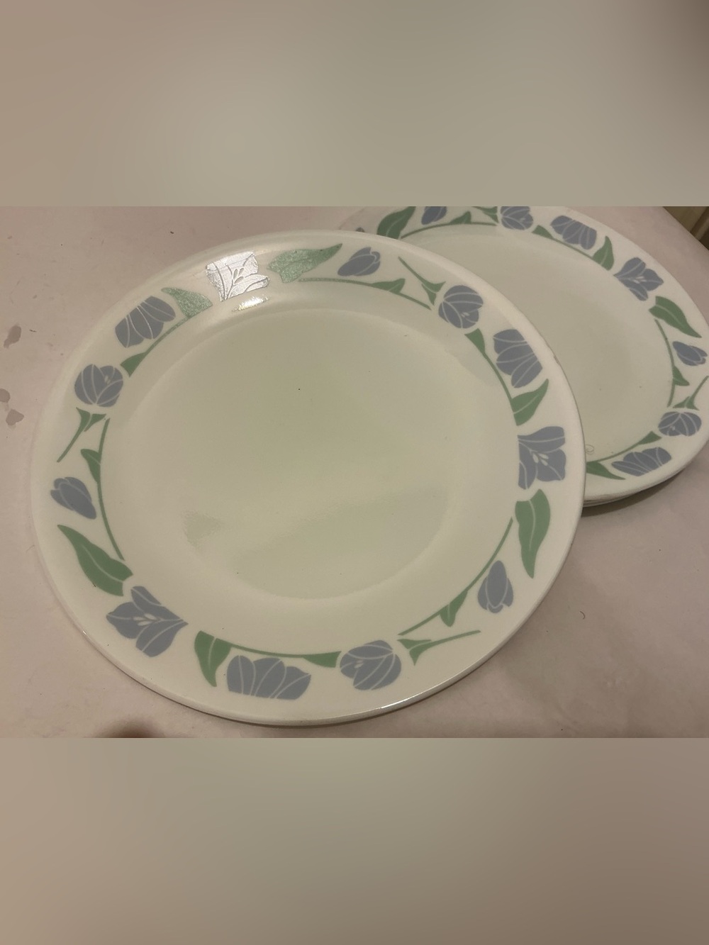 Vintage (set of 2) CORELLE by Corning "Friendship" Luncheon Plates -8.5”